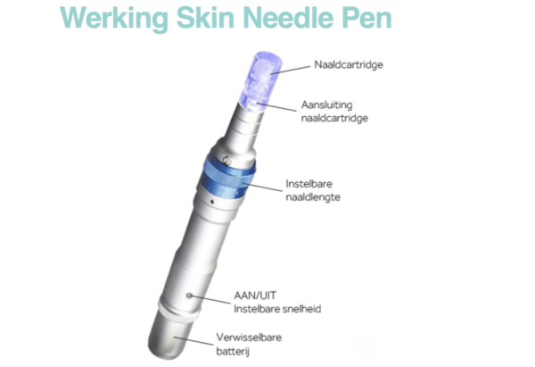 Skin Needle Pen